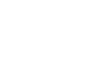 Evolution games at Stelario Casino